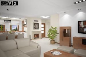 artviz bu rc 004 zas5