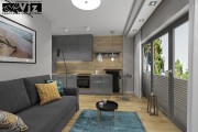 artviz ap12 hs5
