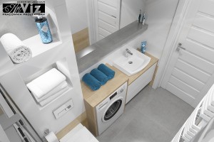 artviz ap26v1 113 laz skos1