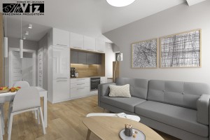 artviz ap26v2 salon22