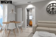 artviz hv s1