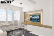 artviz on x2 ss